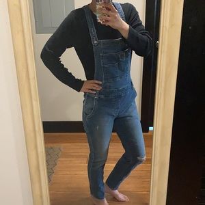 Free People Denim Skinny Overalls